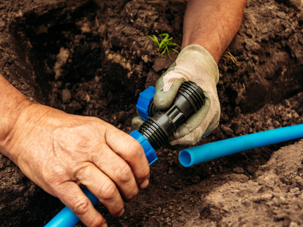 Farmers and Ranchers link