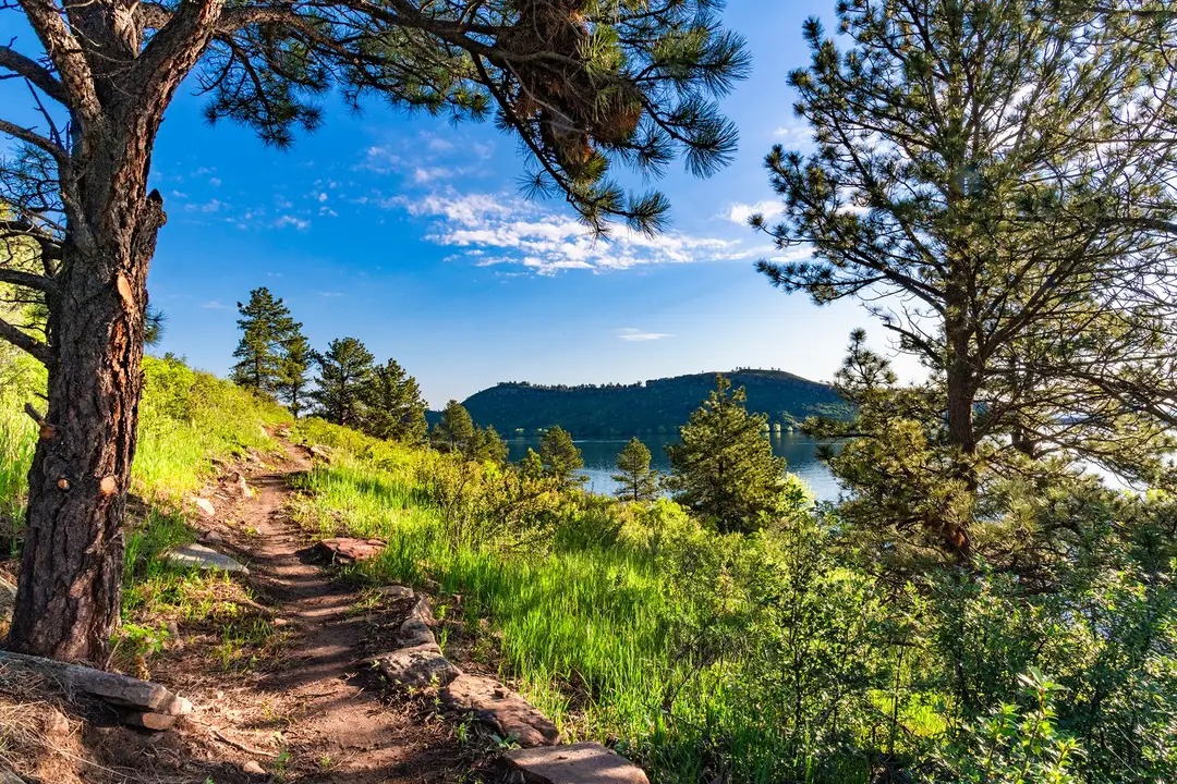 Image Photo: Brendan Bombaci