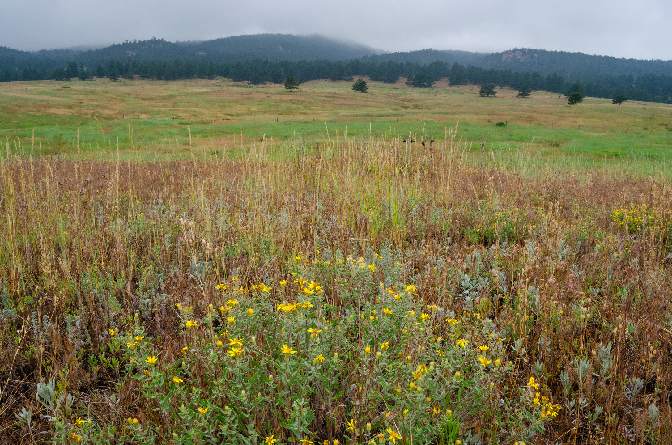 Image Brendan Bombaci