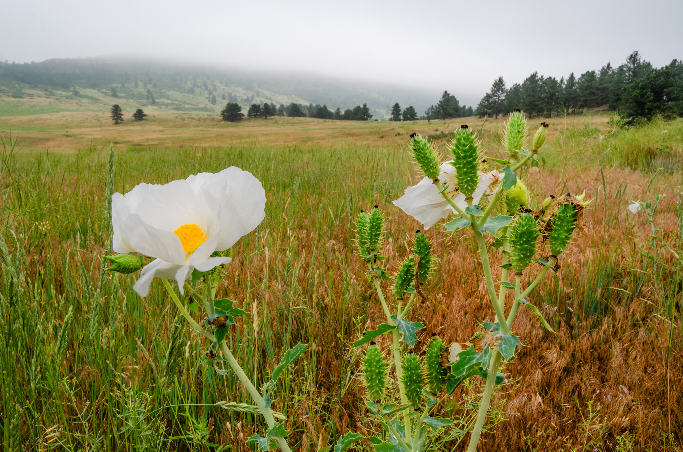 Image Brendan Bombaci