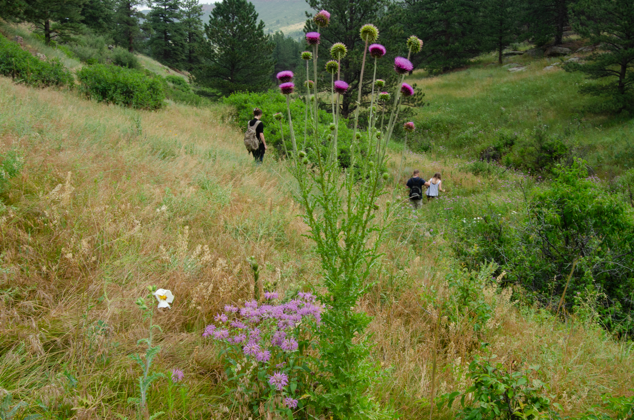 Image Brendan Bombaci