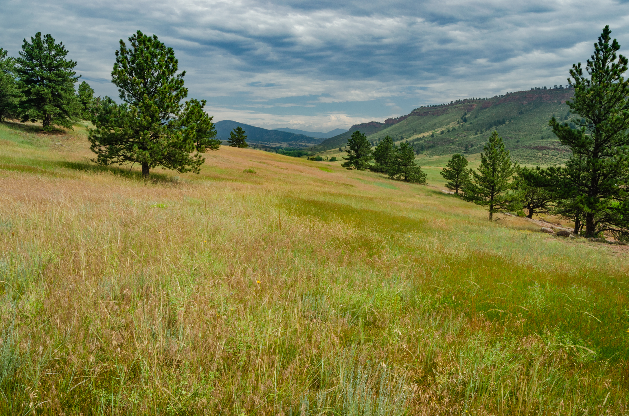 Image Brendan Bombaci