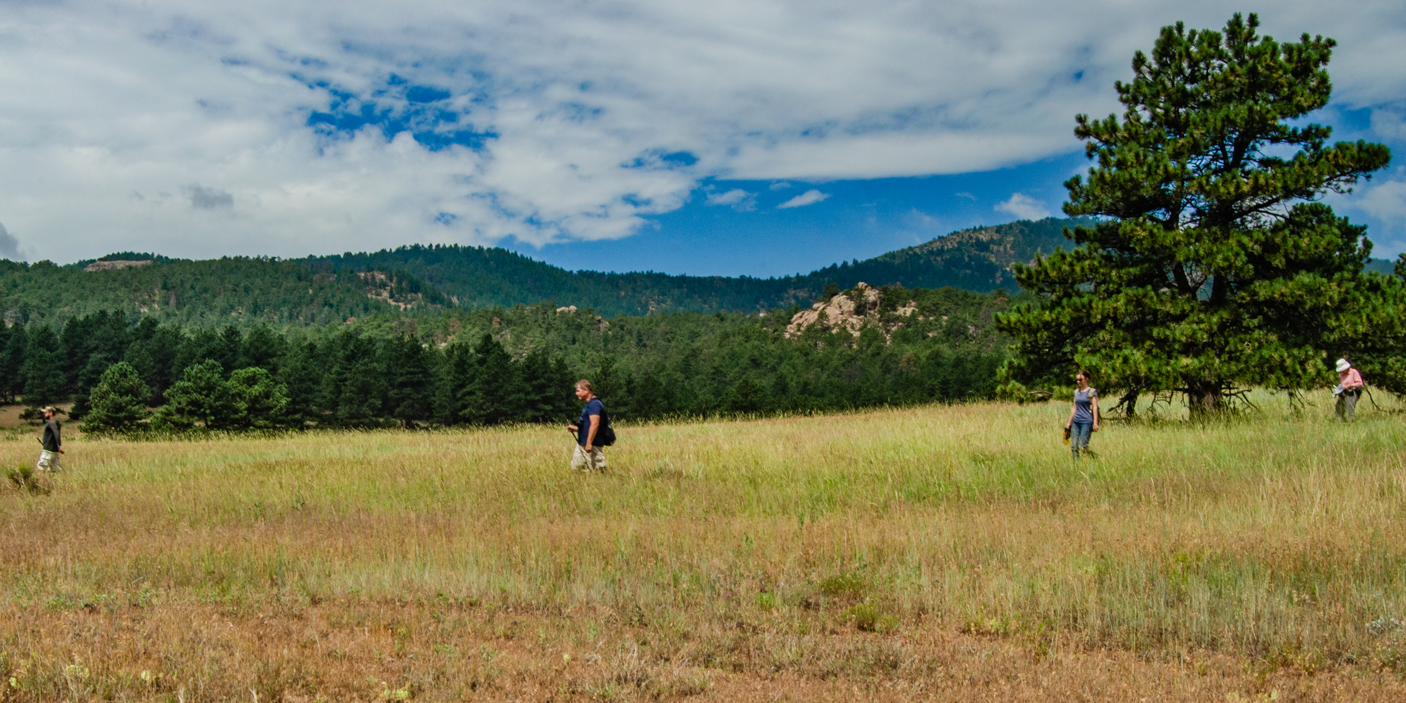 Image Brendan Bombaci