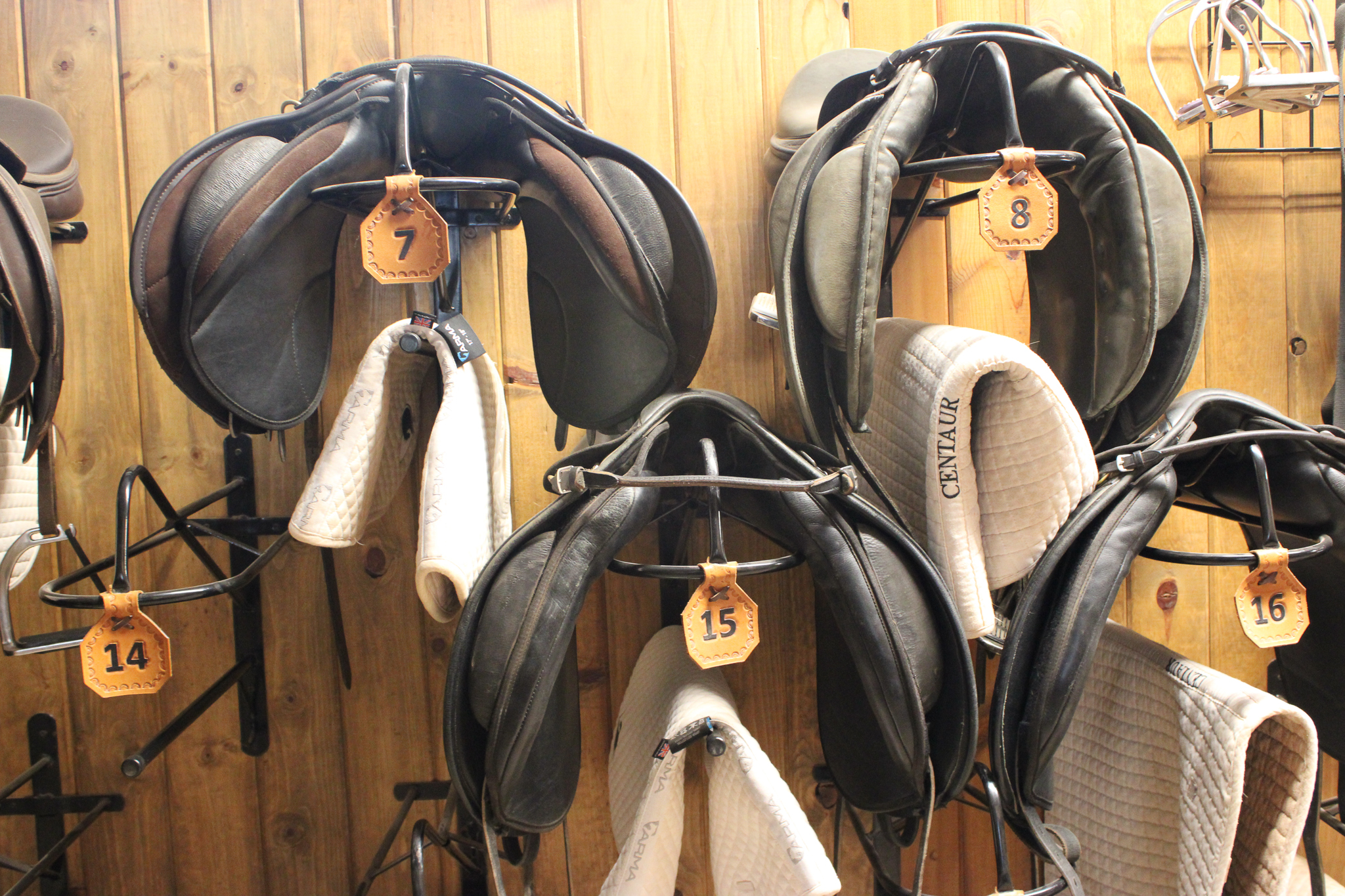 Image Several horse saddles hang on the wall at Hearts & Horses in Loveland, Colorado.
