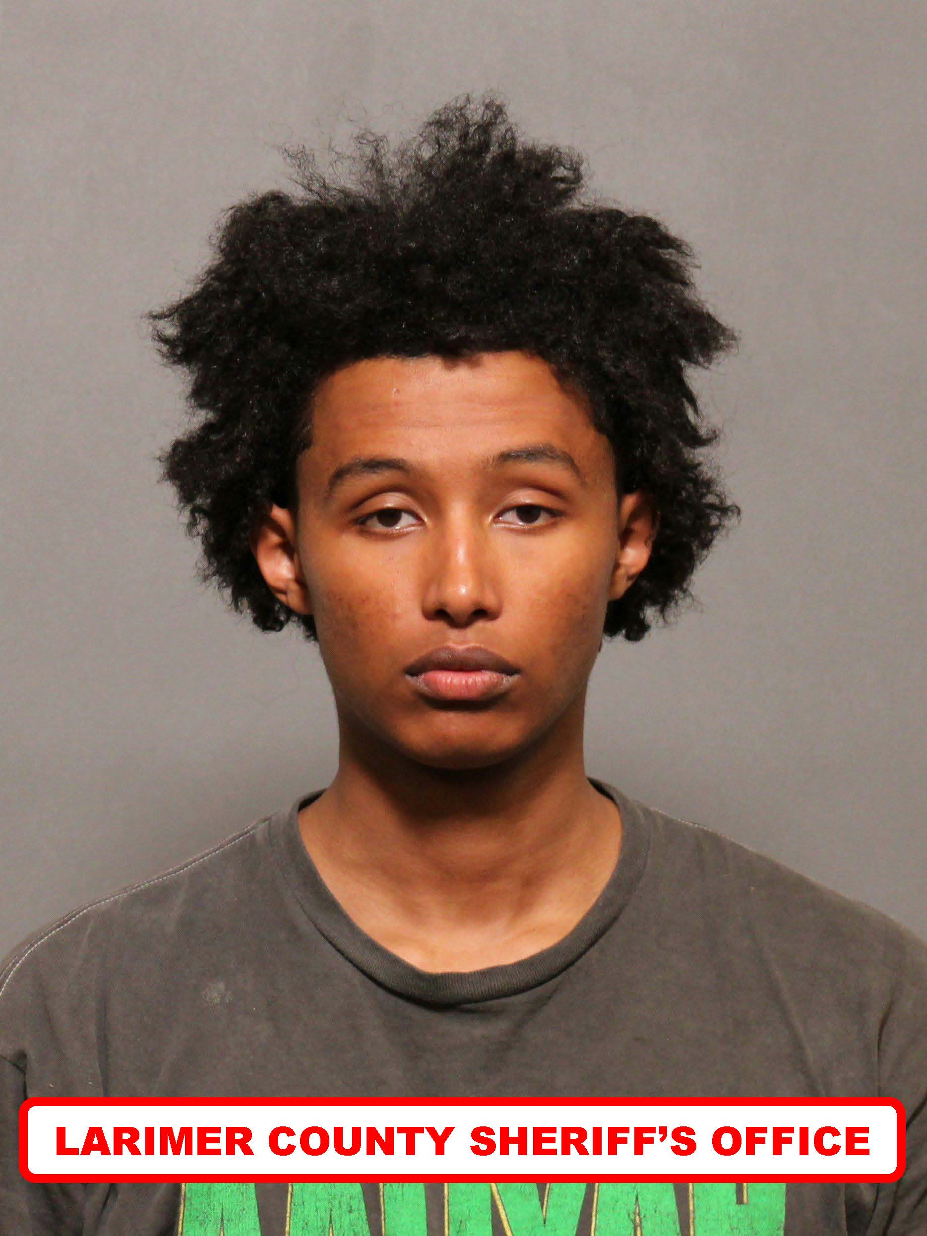 Image Booking Photo - Worku, Ebenezer