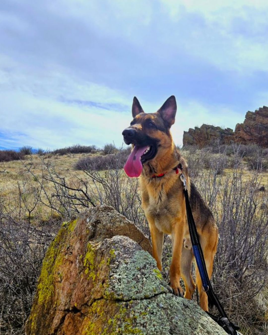 Image Archie! Good trail etiquette is being thoughtful of others on the trail as well as packing up and packing out! By @williamkubishta