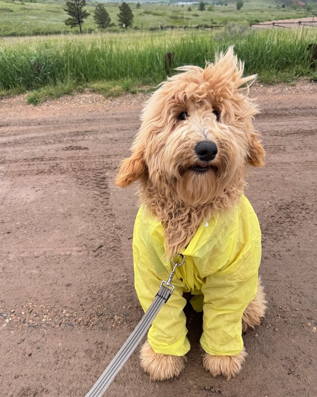 Image Second day of our Memorial Day weekend was spent on #arthursrocktrail in #lorystatepark. Lots of rain but such a fun time! We walked up a mountain and backdown a waterfall. Remember to leave no trace & stay on the trail! By @ruttroontheroam