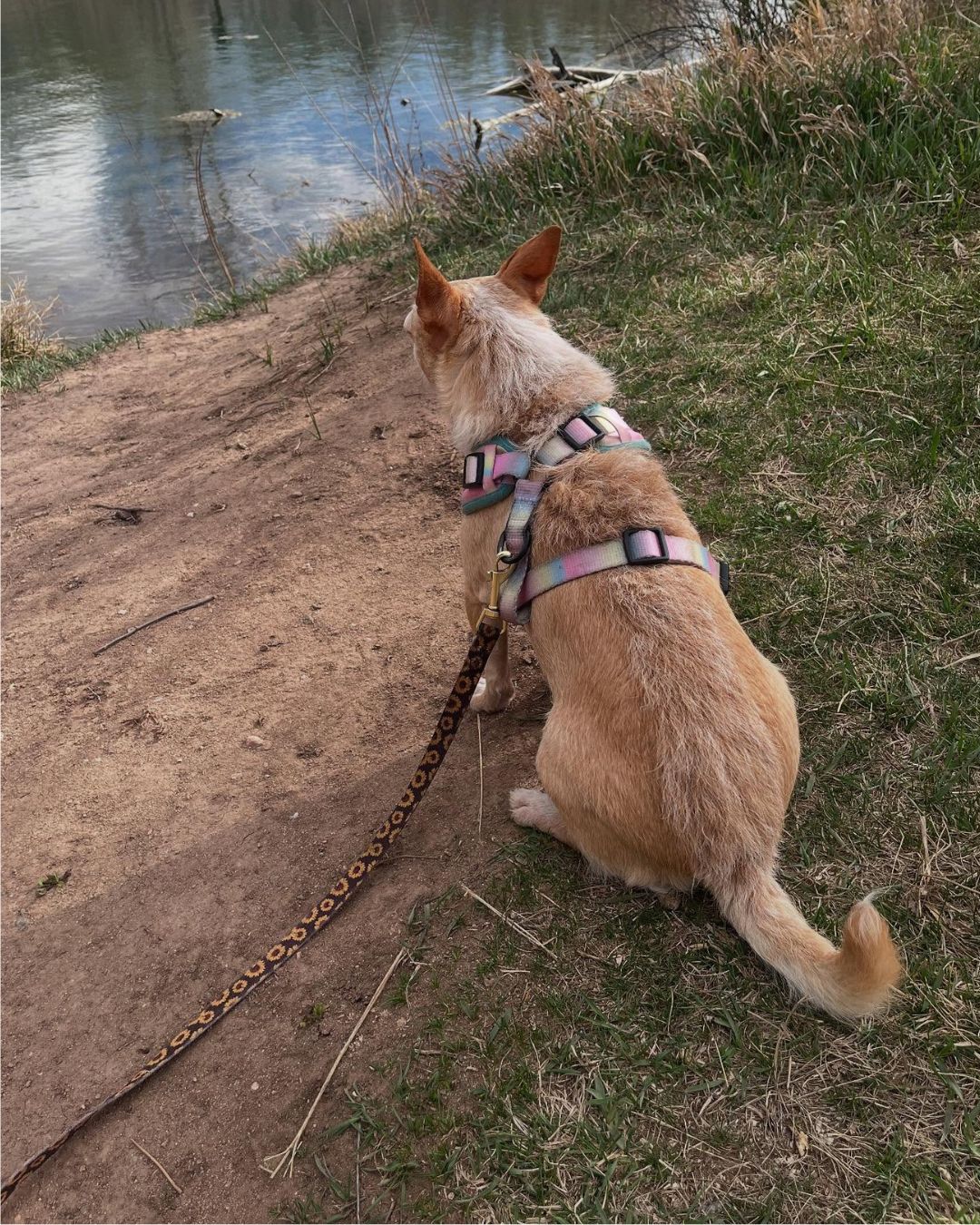 Image I always tread lightly and leave a small footprint. By @Johnromanksy