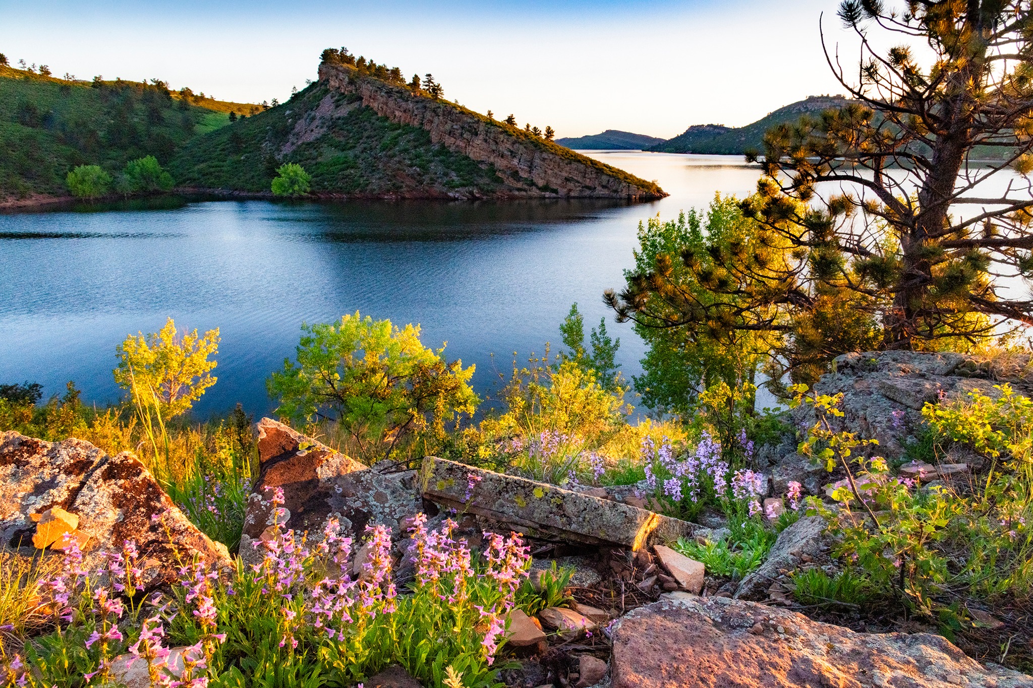 Image Brendan Bombaci