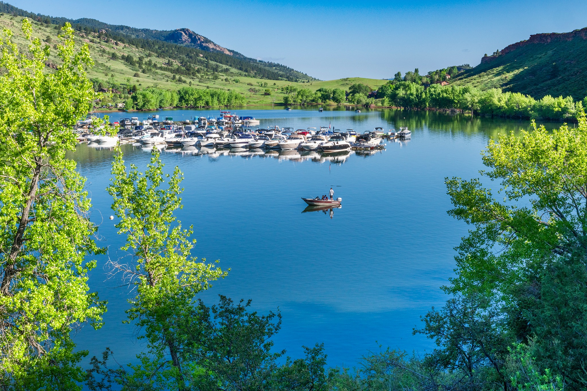 Image Brendan Bombaci