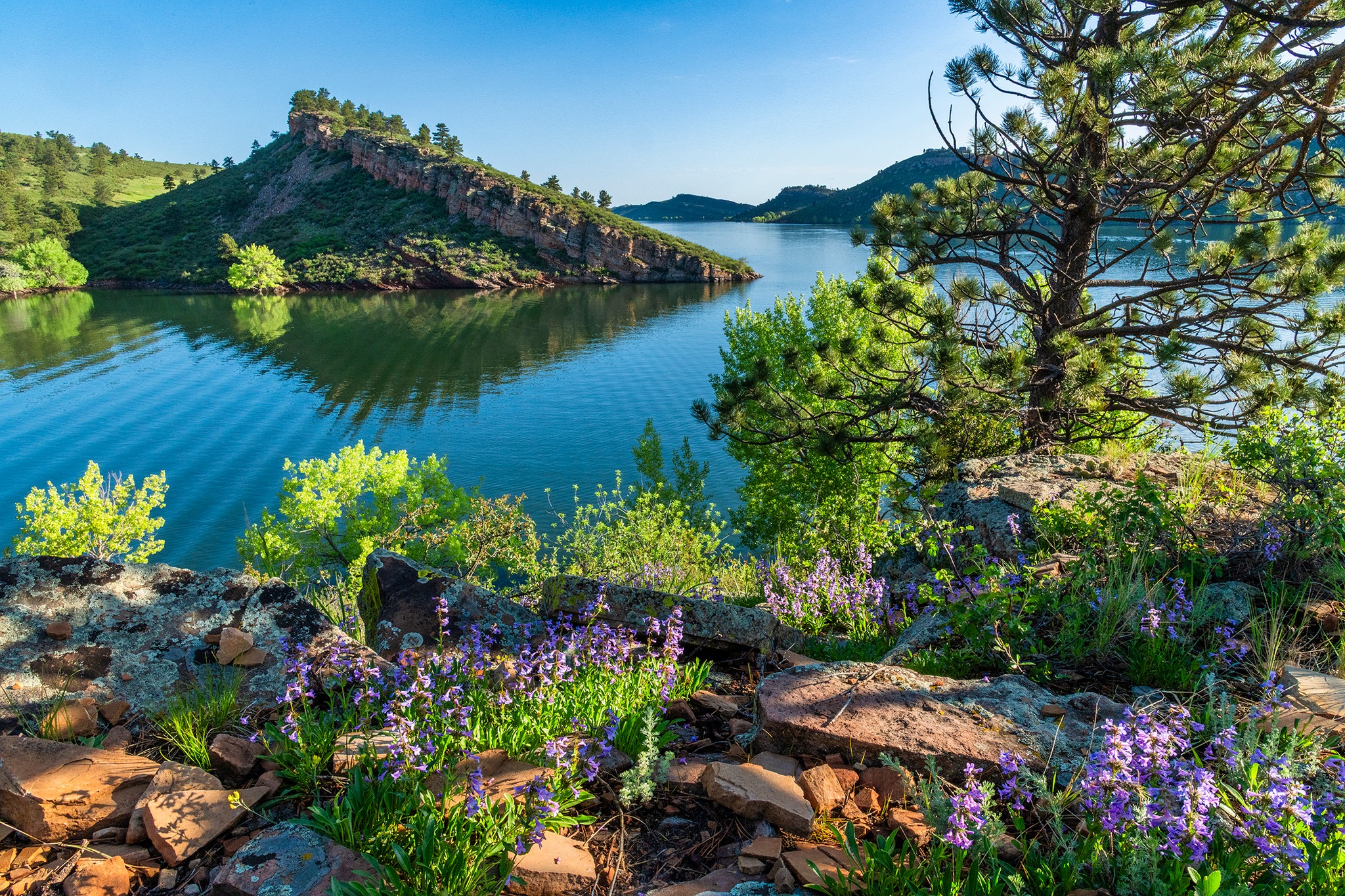 Image Brendan Bombaci