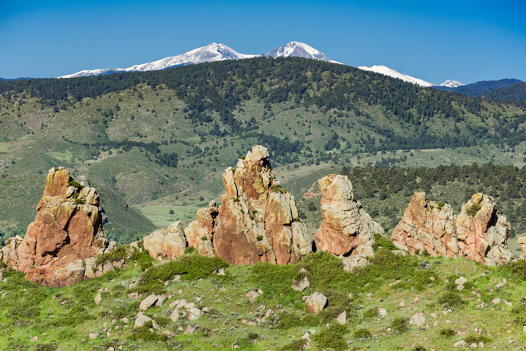 Image Brendan Bombaci