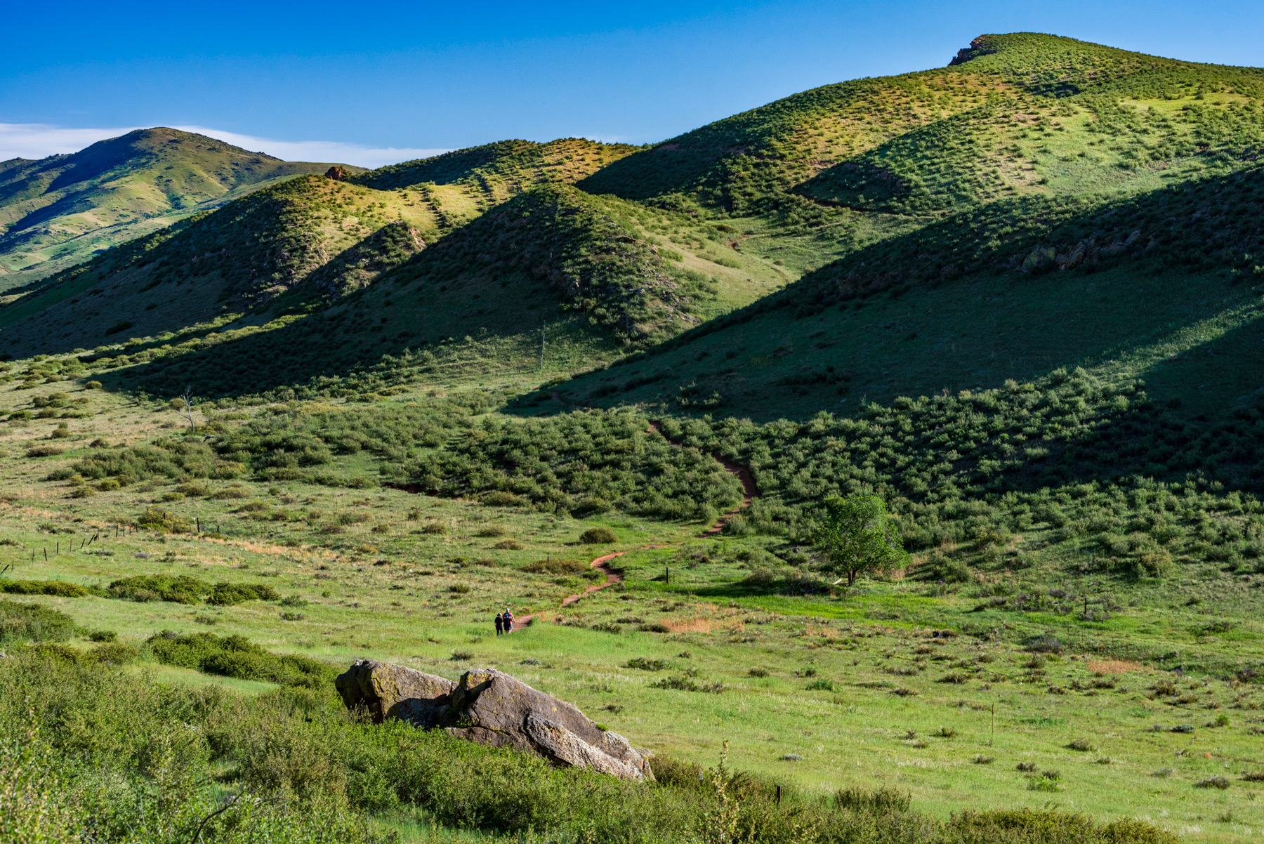 Image Brendan Bombaci