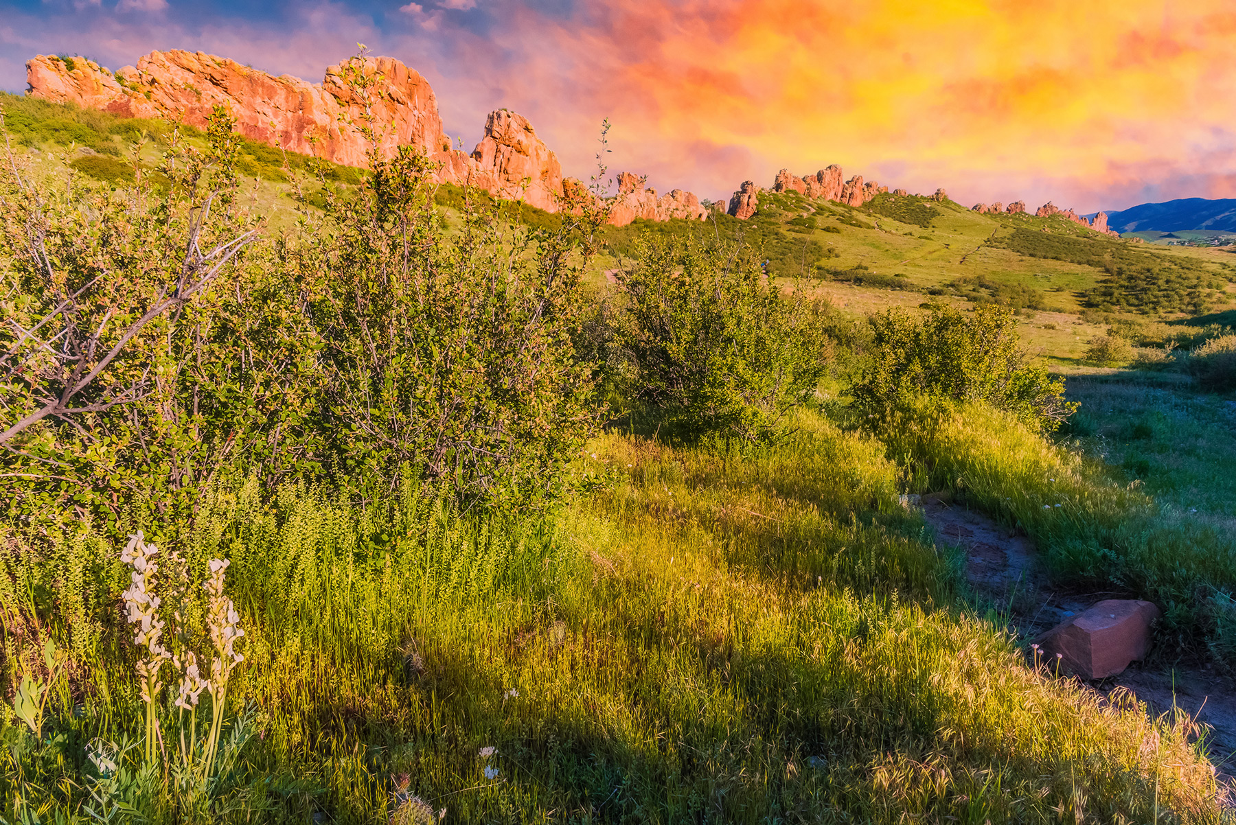 Image Brendan Bombaci