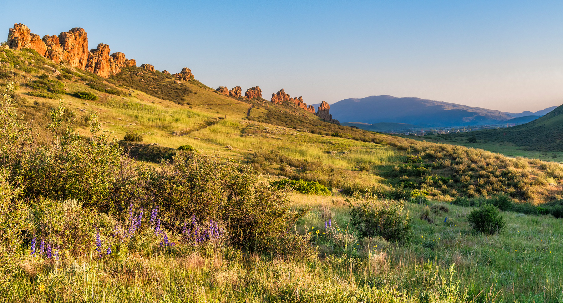 Image Brendan Bombaci