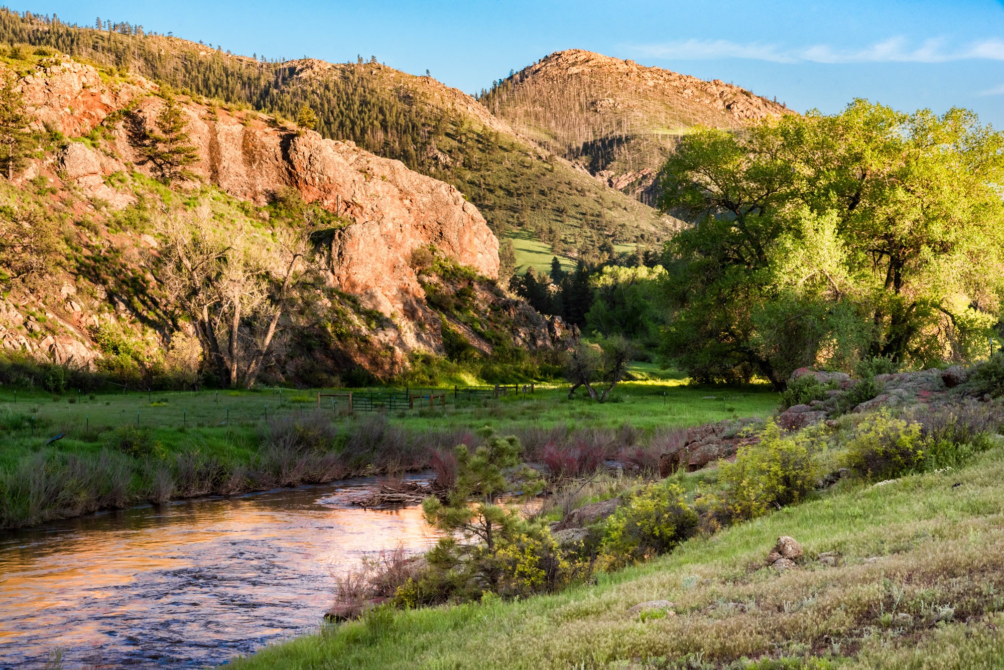 Image © Brendan Bombaci