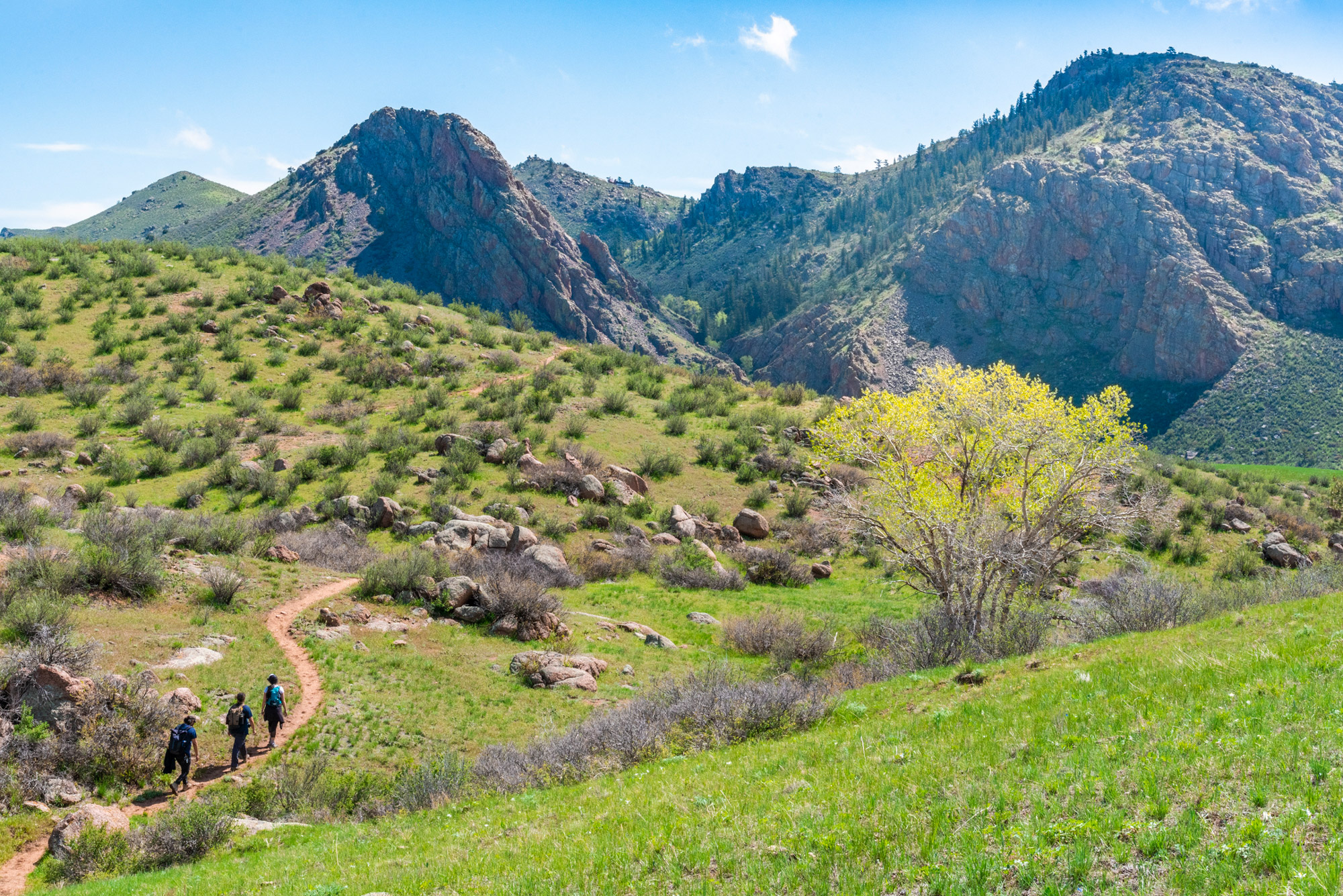 Image © Brendan Bombaci