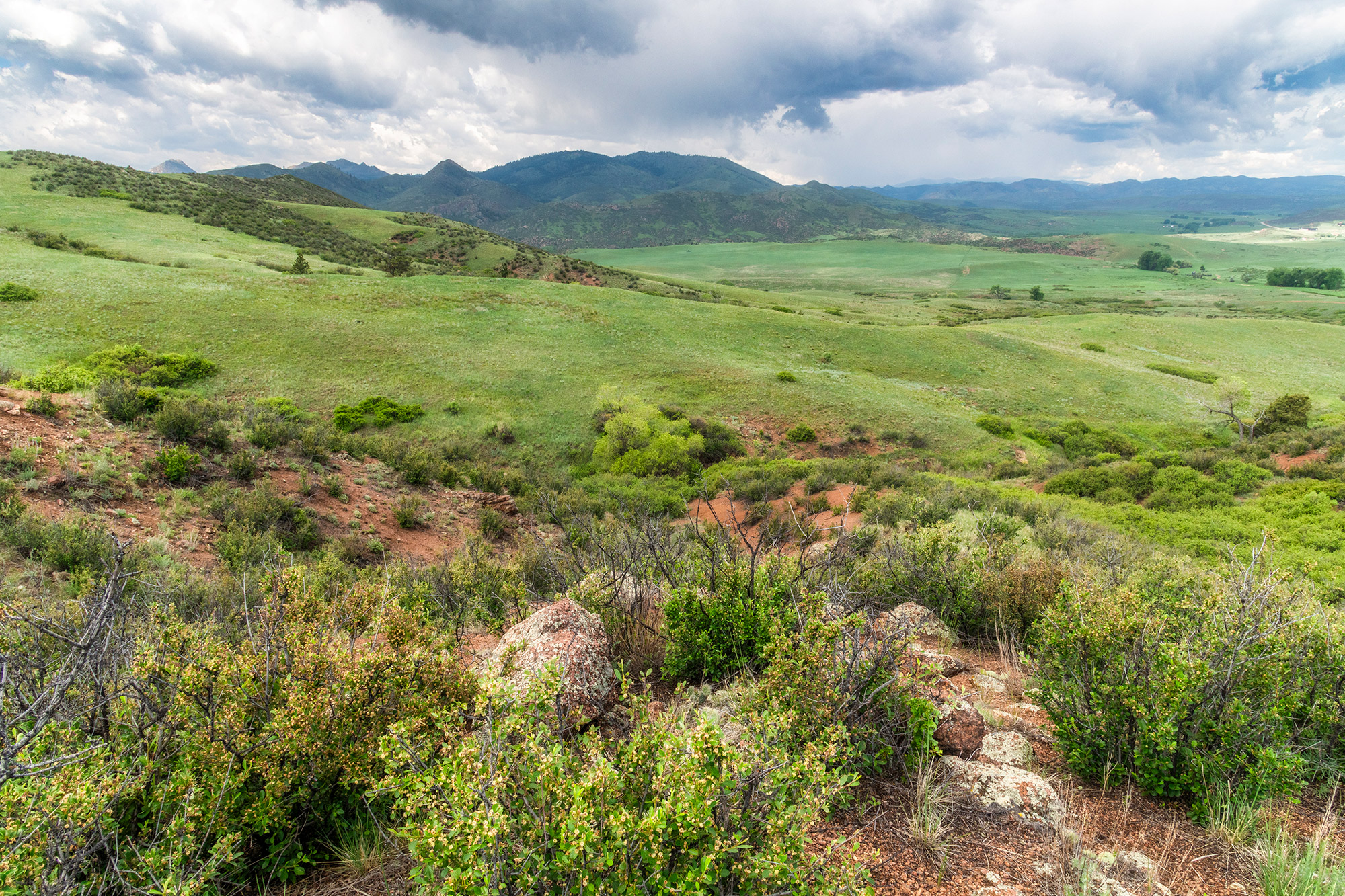 Image © Brendan Bombaci