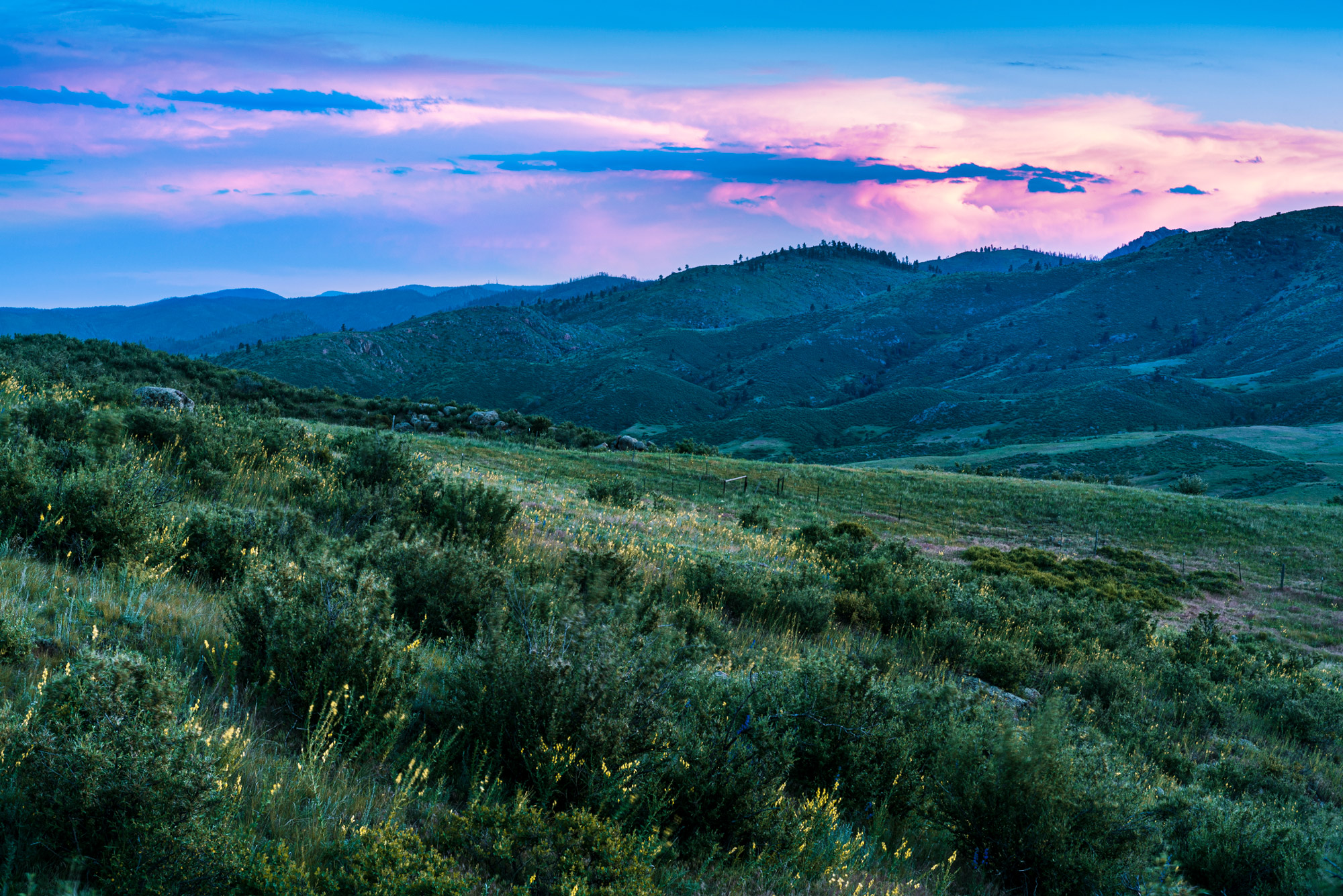 Image © Brendan Bombaci