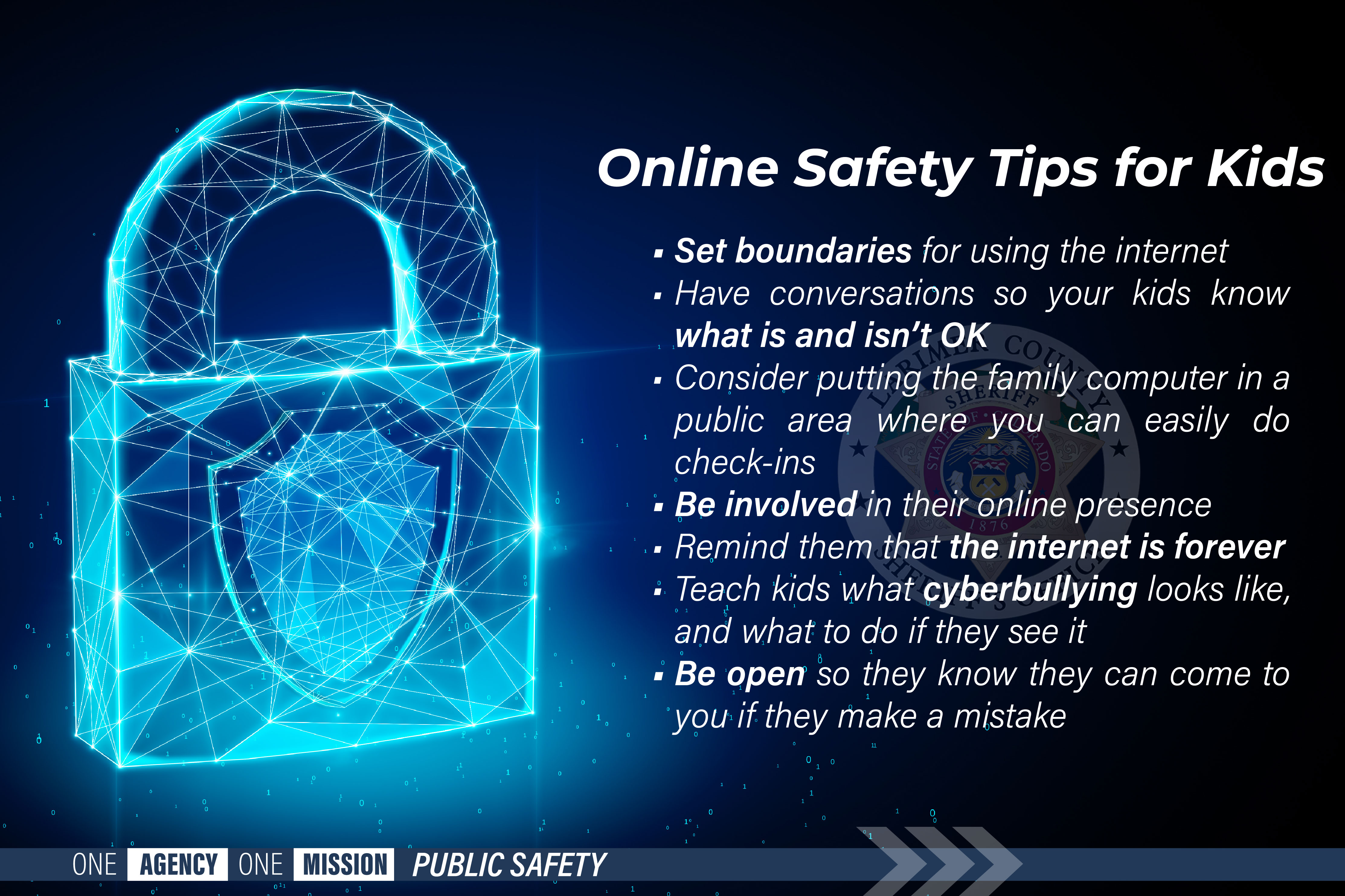 Online Safety Tips Larimer County