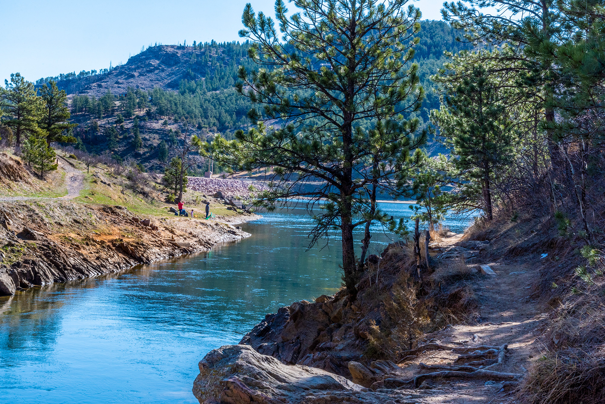 Image © Brendan Bombaci