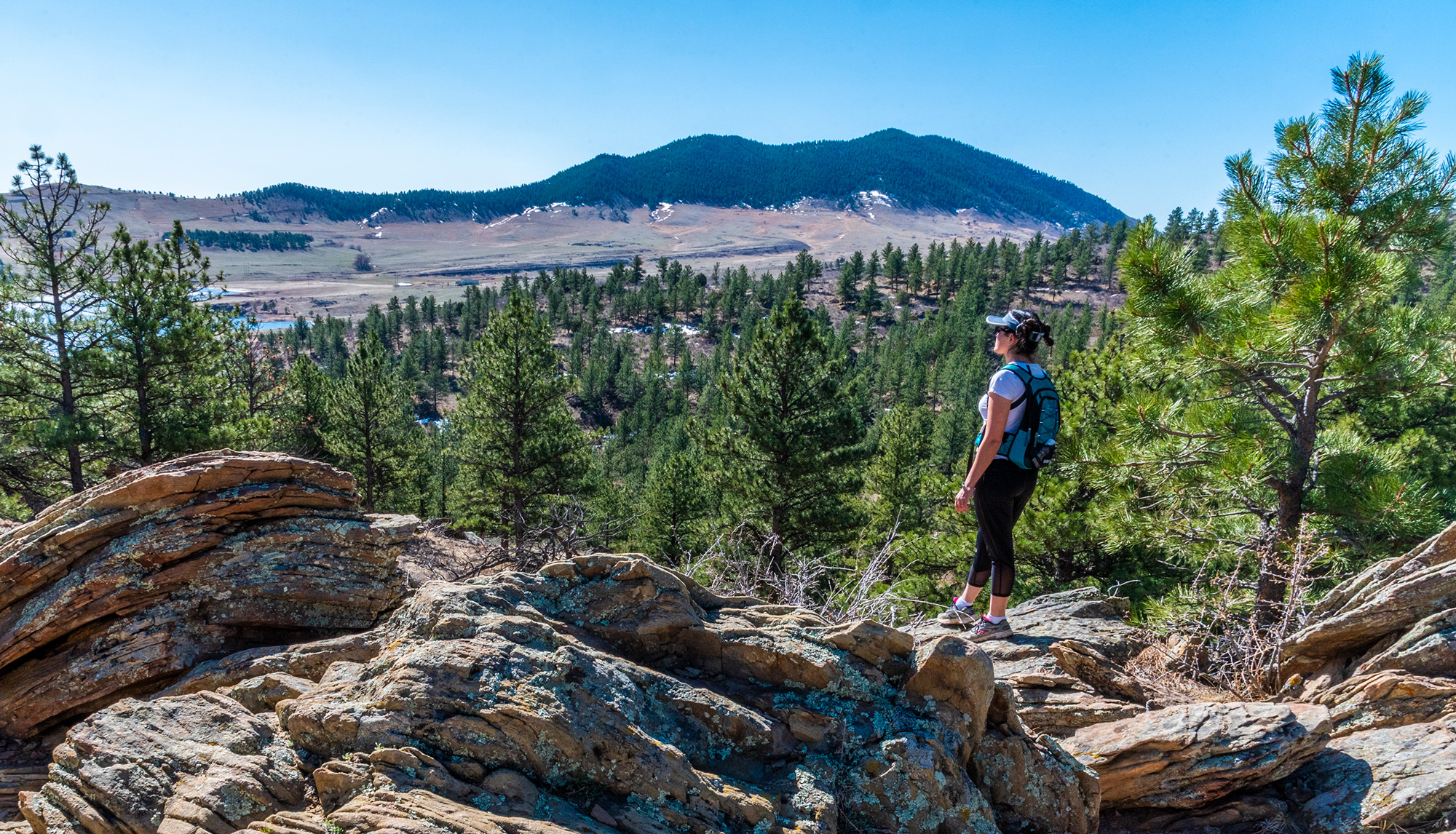 Image © Brendan Bombaci