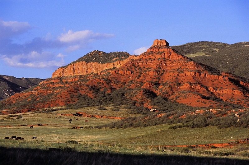 Red Mountain Open Space | Larimer County
