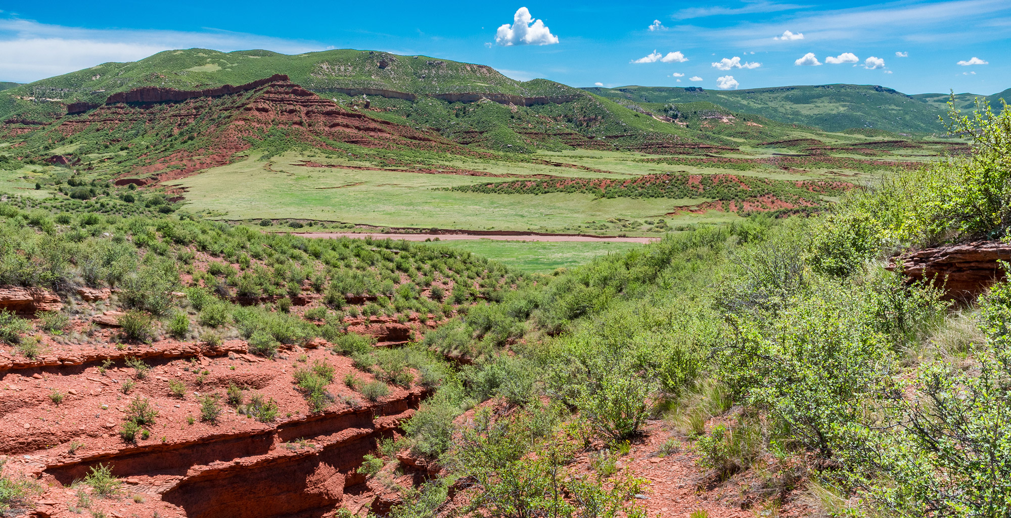 Image © Brendan Bombaci