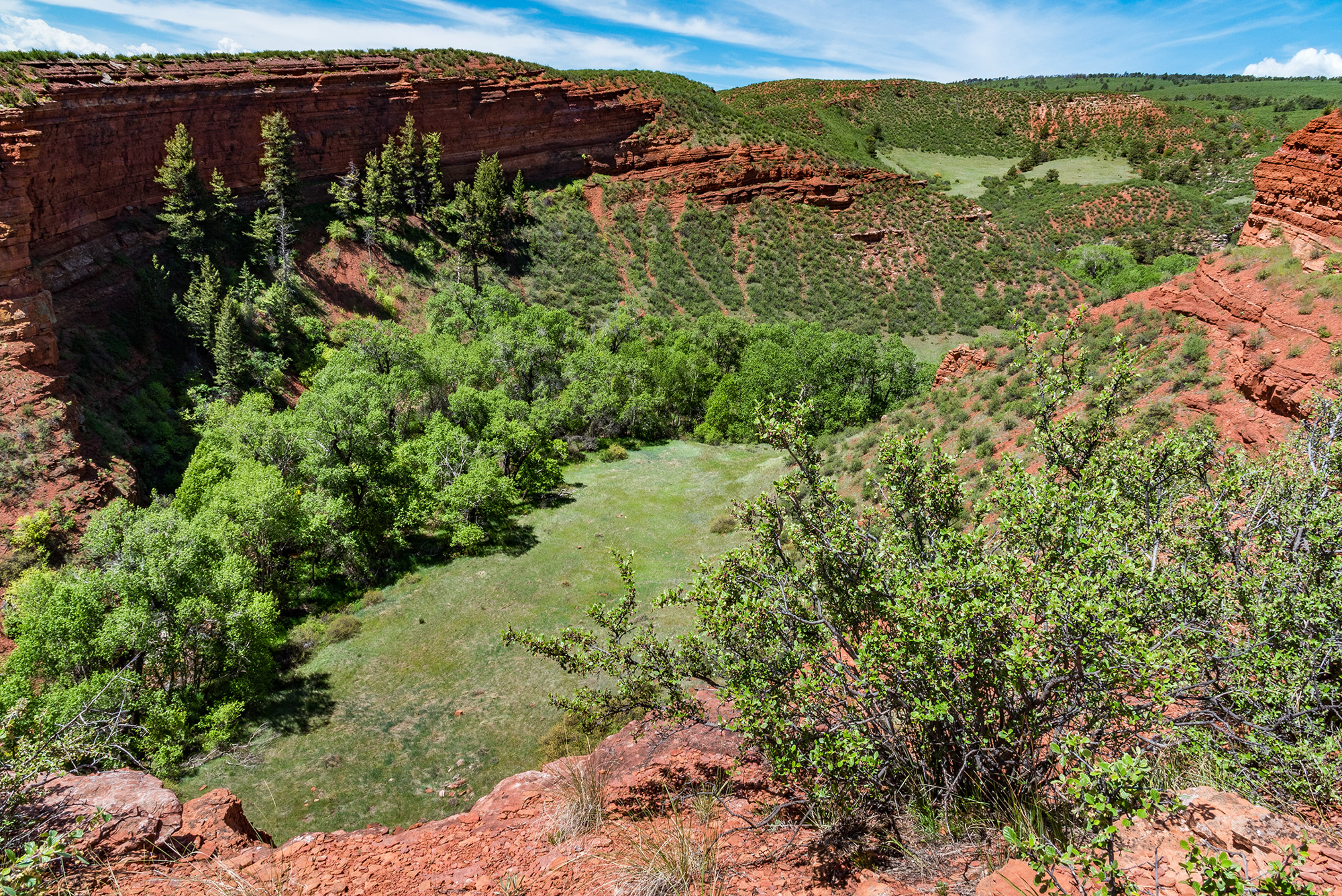 Image © Brendan Bombaci