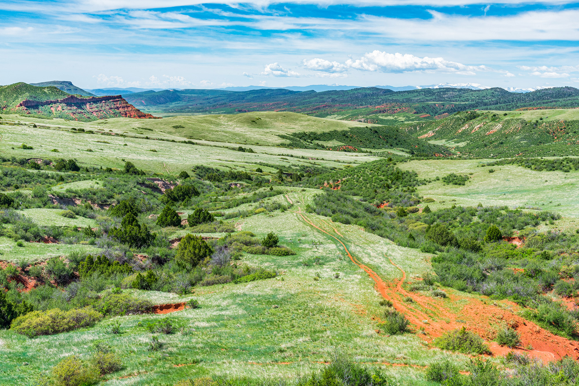 Image © Brendan Bombaci