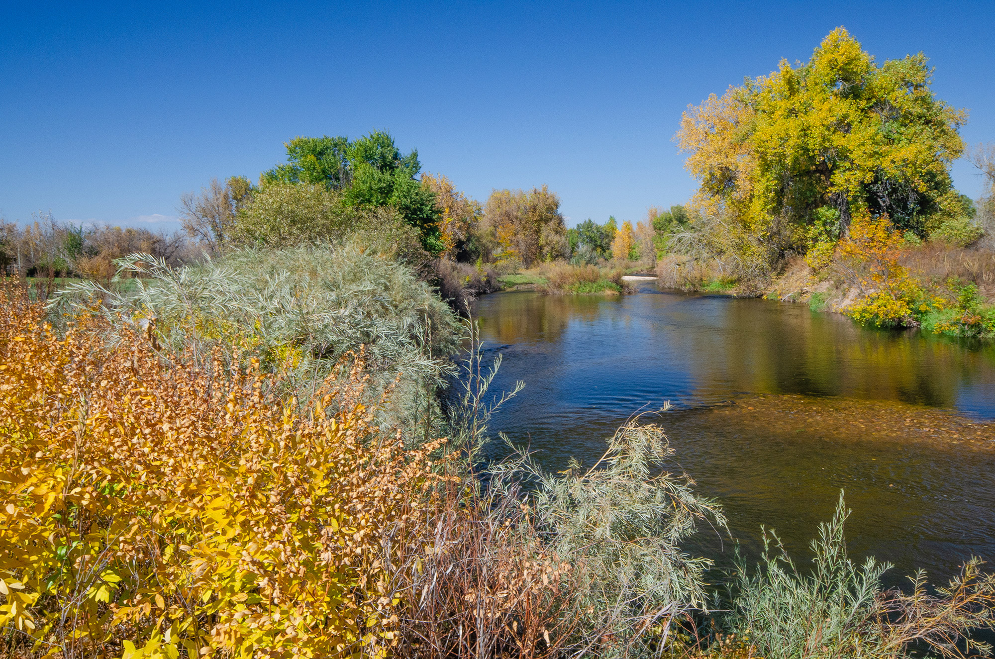 Image © Brendan Bombaci