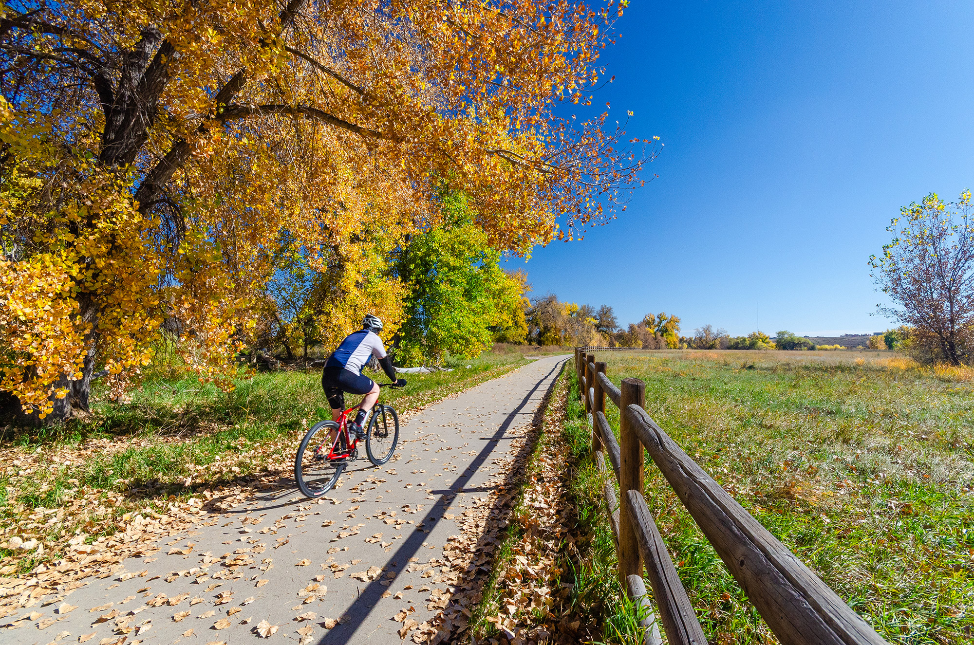 Image © Brendan Bombaci