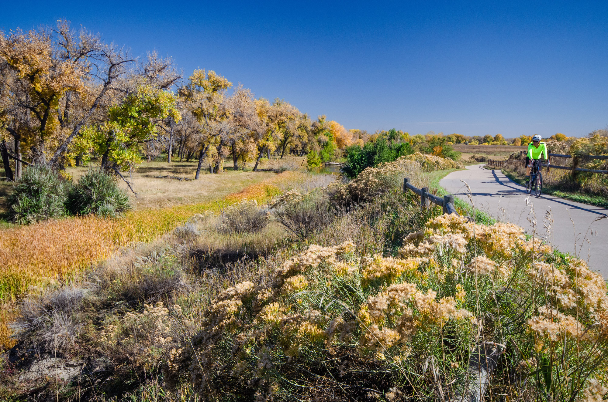 Image © Brendan Bombaci