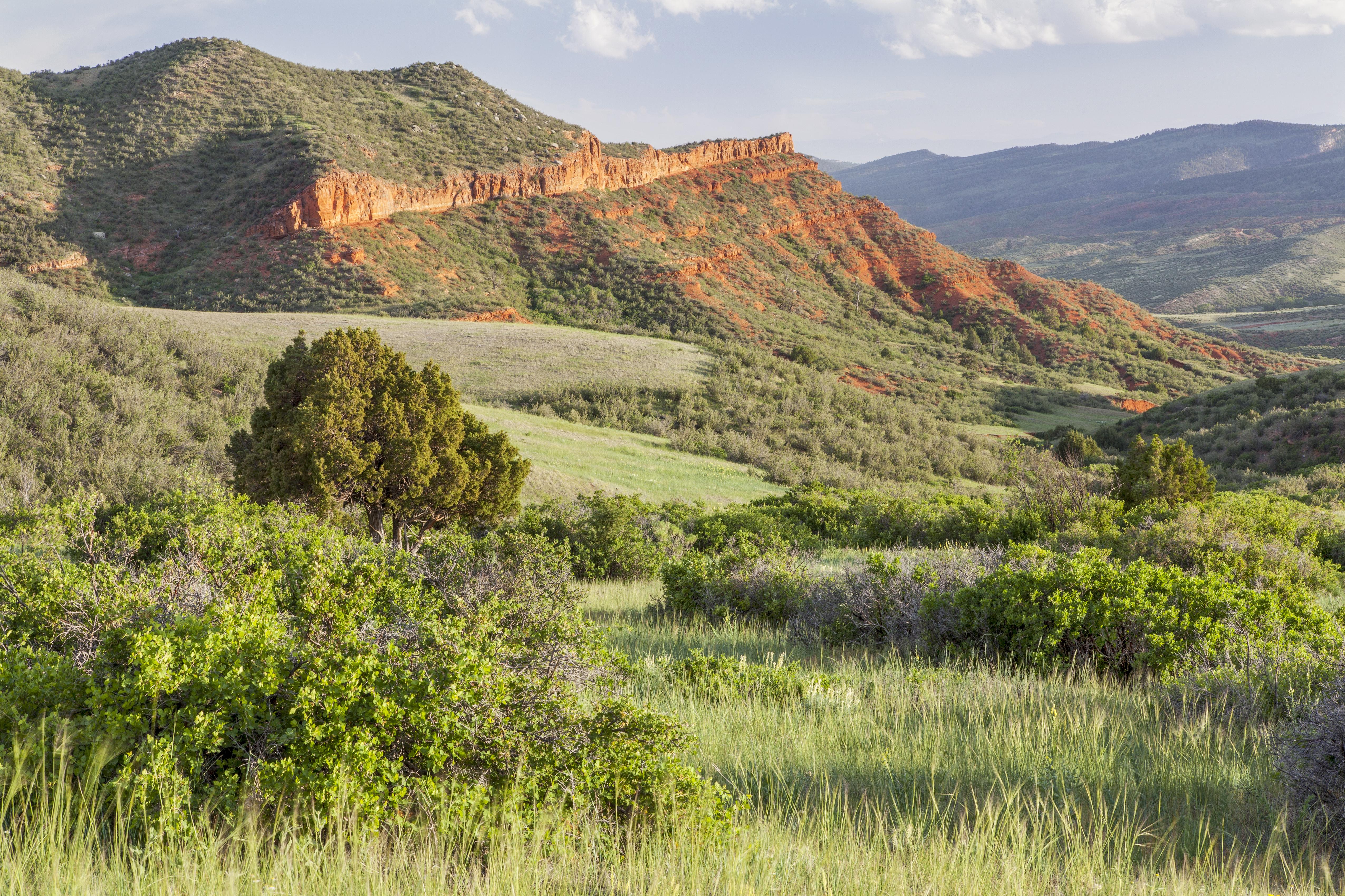 colorado foothills