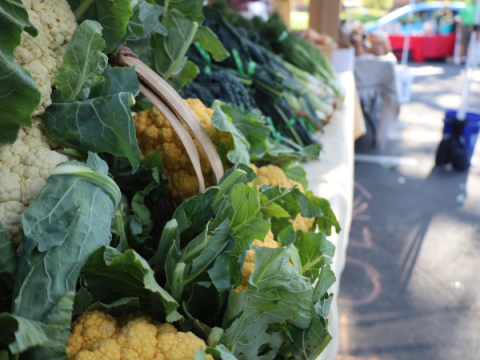 Produce at the Larimer County Farmers' Market