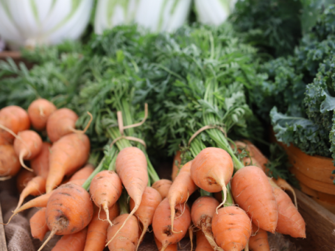 Carrots at the Larimer County Farmers' Market