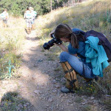 Volunteer photographing plants on the trail. 