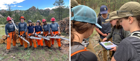 Larimer County Conservation Corps Crew Members at work