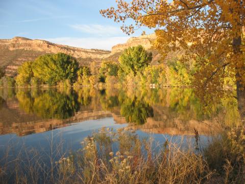 Fall Time at Watson Lake