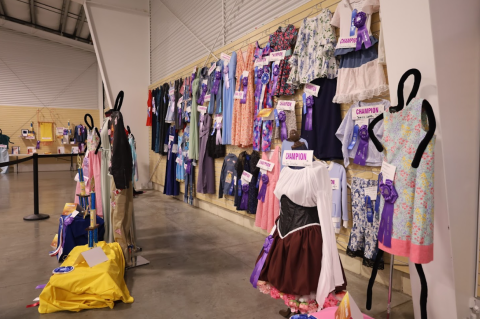 4-H Projects at the Larimer County Fair