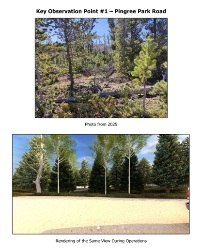 Pingree Park Road