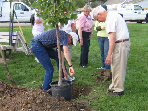 Colorado Master Gardeners | Larimer County