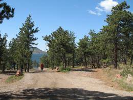 Eagle Campground view of the entrance road.