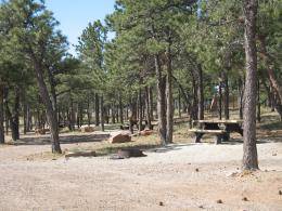 Picnic area at Eagle campground.