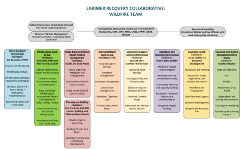 Larimer Recovery Collaborative Org chart.