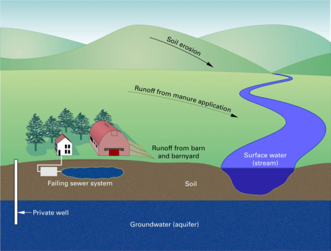 Farm Runoff