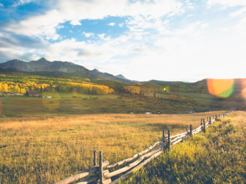 An open field with mountains in the background