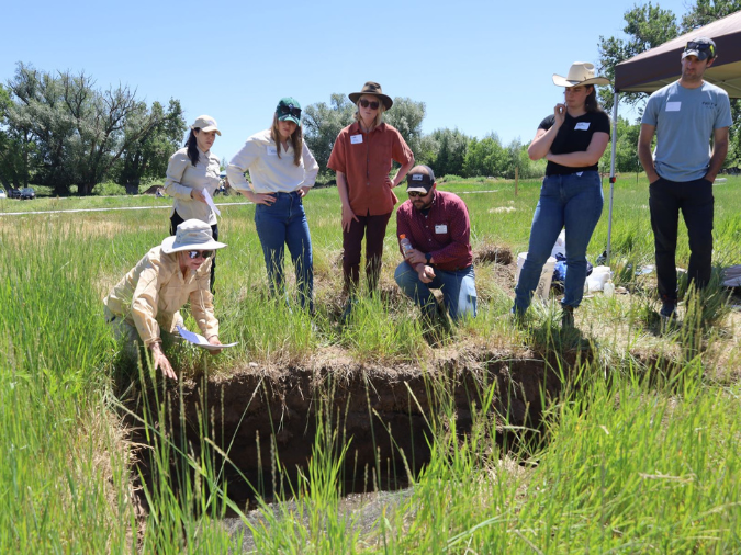 A soil pit at Soil Health Demo Day